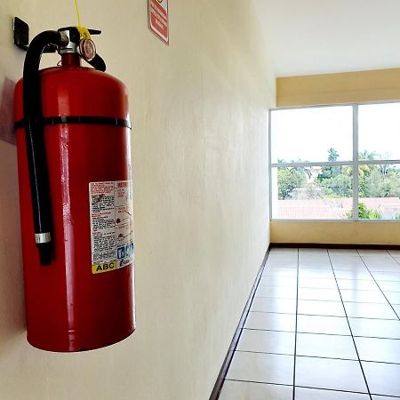 San Benito Flats Wifi 50Mg - 4 Huespedes - Parqueos Διαμέρισμα Σαν Σαλβαντόρ Εξωτερικό φωτογραφία